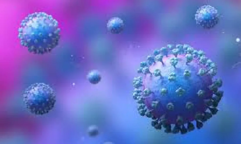 391225-new-project-78