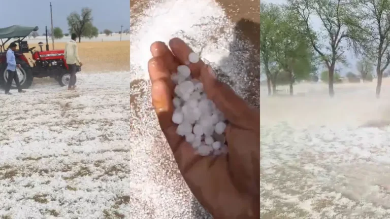 rajasthan-hailstorm